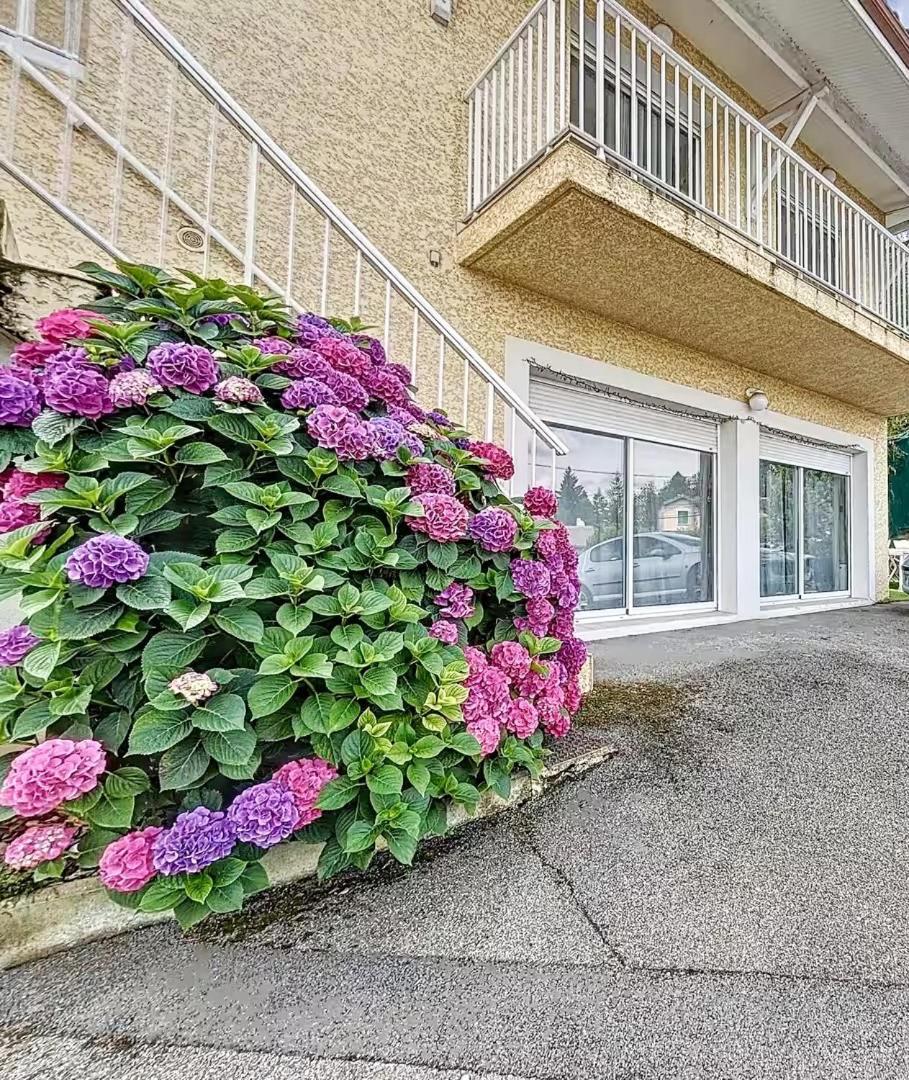 Ferienwohnung L'Echappee Viennoise Vienne  Exterior foto